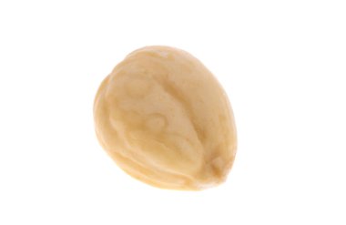 beyaz arkaplanda izole edilmiş fındık