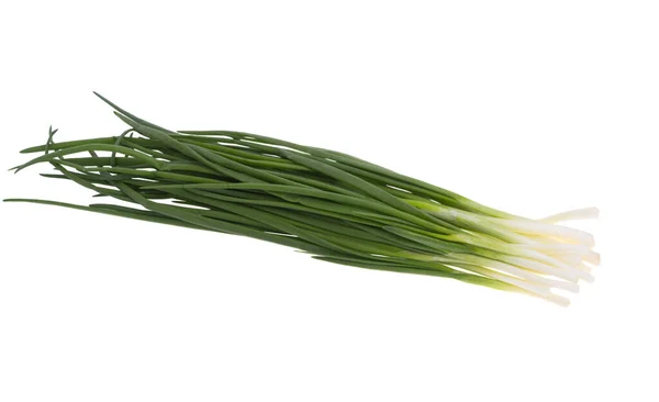 Green Onion Isolated White Background — Stock Photo, Image