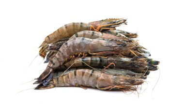 Beyaz arka plan üzerinde izole ham ıstakoz