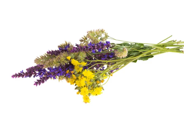 Bouquet Fleurs Prairie Isolé Sur Fond Blanc — Photo