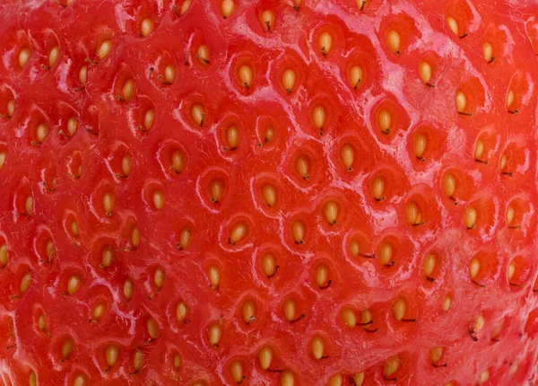Roter Hintergrund Von Erdbeeren Nahaufnahme Makro — Stockfoto