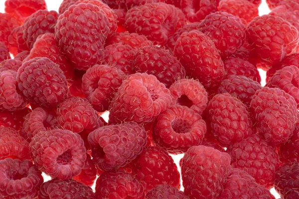 Red Raspberries Close Macro — Stock Photo, Image