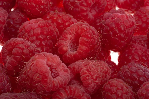 Red Raspberries Close Macro — Stock Photo, Image