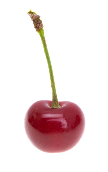 Cherry Isolated White Background — Stock Photo, Image