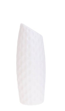 Beyaz arka plan üzerinde izole çiçek vazo