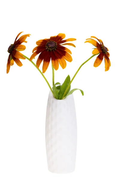 Beyaz Arkaplanda Çiçekli Vazo — Stok fotoğraf
