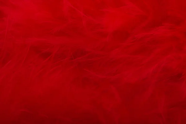 Background Red Swan Fluff — Photo