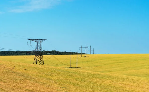 Ukrainian Field Wheat Sunny Day — Stock Photo, Image