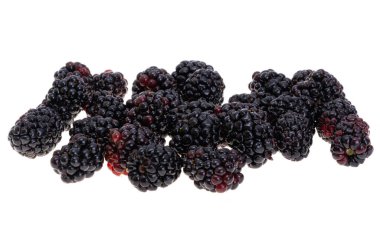 Blackberry beyaz arkaplanda izole edildi