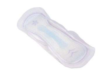 Beyaz Arkaplan 'da Kadın Defteri İzole Edildi