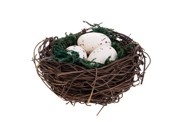 Vogelnest Mit Eiern Isoliert Auf Weißem Hintergrund — Stockfoto