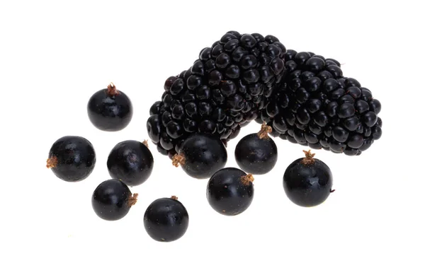 孤立的白色背景上的黑加仑浆果 — 图库照片