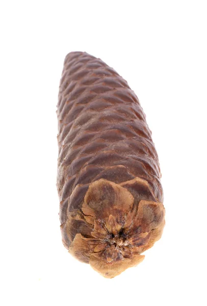 Fir Cone Isolado Fundo Branco — Fotografia de Stock