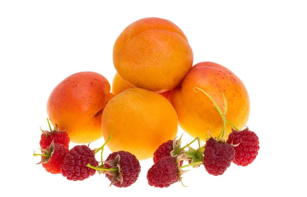 Apricot Isolated White Background — Stock Photo, Image