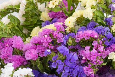 Renkli kermek çiçeklerinin arkaplanı