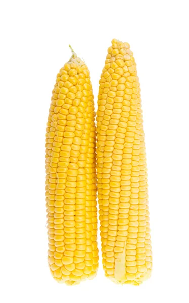 Young Corn Isolated White Background — Stock Photo, Image