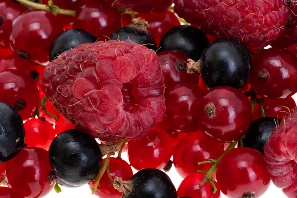 Berries Raspberry Currant Isolated White Background — Stock Photo, Image