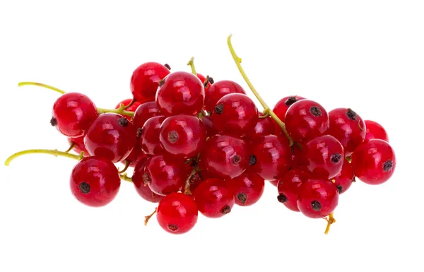 Merah Currant Berry Diisolasi Pada Latar Belakang Putih — Stok Foto