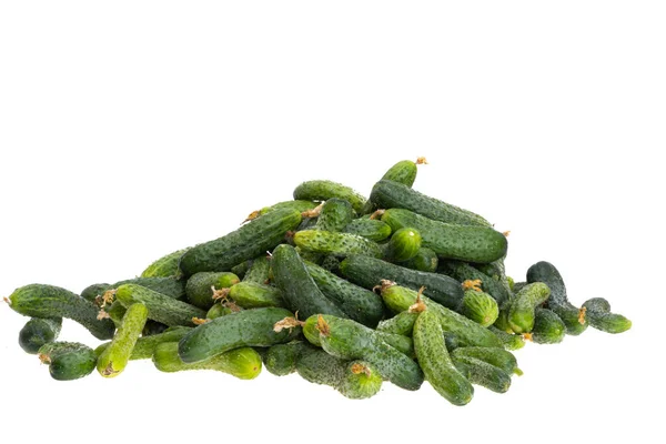 Pile Cucumbers White Background — 스톡 사진