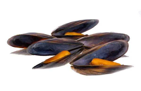 Mussels Isolated White Background — Stock Photo, Image