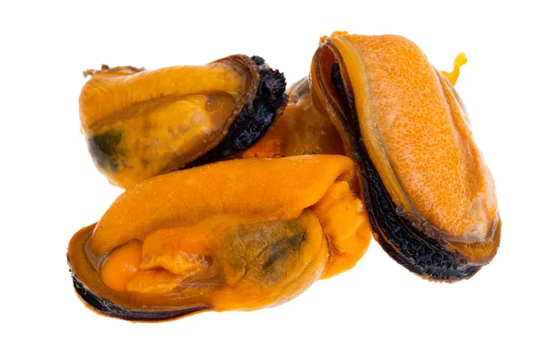 Cozze Isolate Sfondo Bianco — Foto Stock