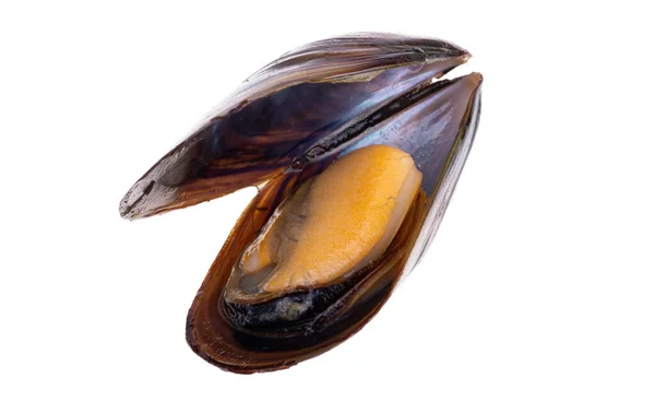 Cozze Isolate Sfondo Bianco — Foto Stock