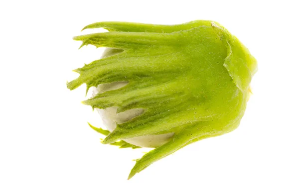 Зеленый Ореховый Орех Белом Фоне — стоковое фото