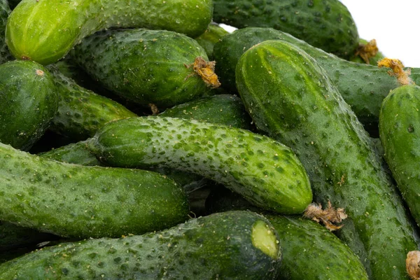 Veel Komkommers Een Witte Achtergrond — Stockfoto