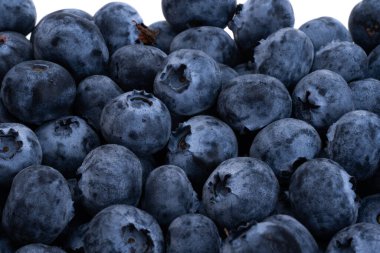 beyaz arkaplanda yaban mersini izole