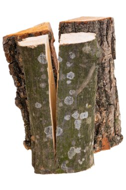 chopped oak firewood isolated on white background