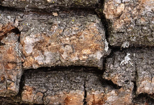 Background Chopped Oak Firewood — Fotografia de Stock