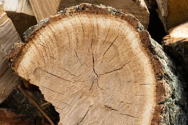 Background Chopped Oak Firewood — Stock Photo, Image