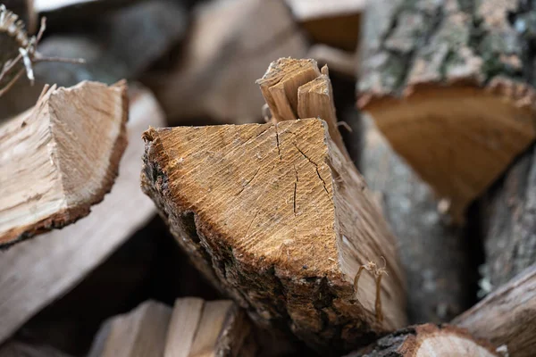 Background Chopped Oak Firewood — 스톡 사진