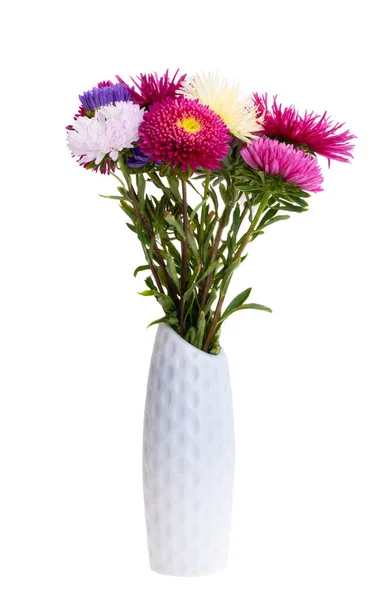 Bouquet Aster Flowers Isolated White Background — Stock Photo, Image