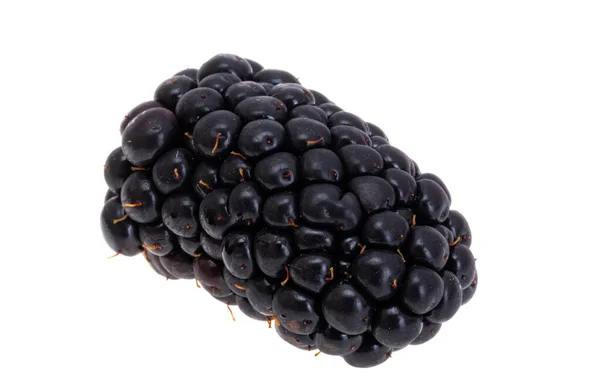 Large Blackberry Isolated White Background — Stock Photo, Image