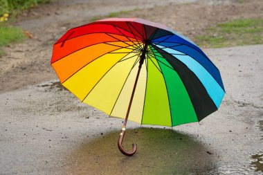 colorful umbrella in the rain on the street