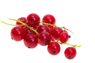 Frenk üzümü beyaz arkaplanda izole edildi