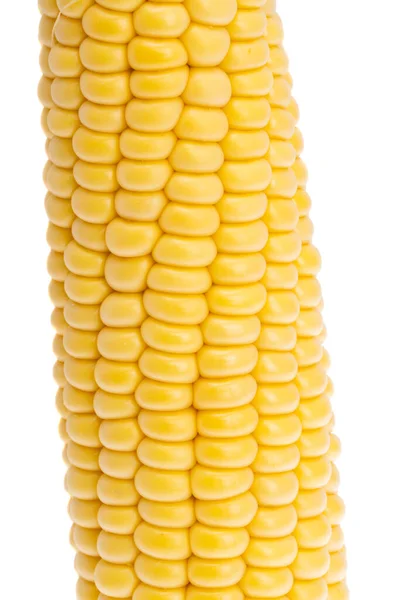 Kukorica Elszigetelt Fehér Háttér — Stock Fotó