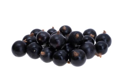 Beyaz arka plan üzerinde izole blackcurrant