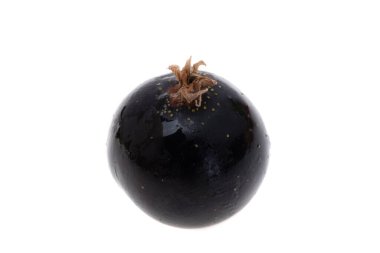 Beyaz arka plan üzerinde izole blackcurrant