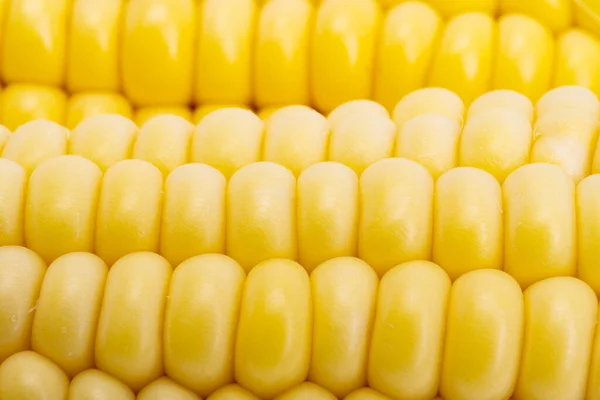 Background Corn Close — Foto Stock