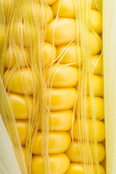 Background Corn Close — Foto Stock