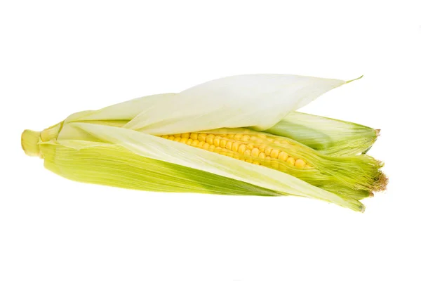 白い背景に孤立したトウモロコシ — ストック写真