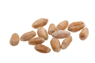 Beyaz arkaplanda buğday izole