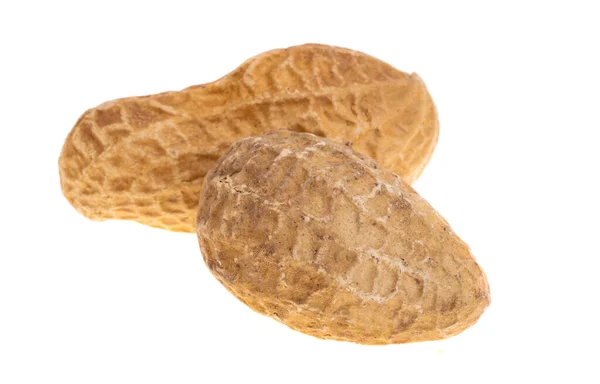 Peanut Shell Isolated White Background — Stock Photo, Image