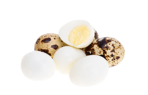Telur Puyuh Diisolasi Pada Latar Belakang Putih — Stok Foto