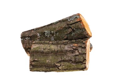 meşe yakacak odun beyaz arka planda izole