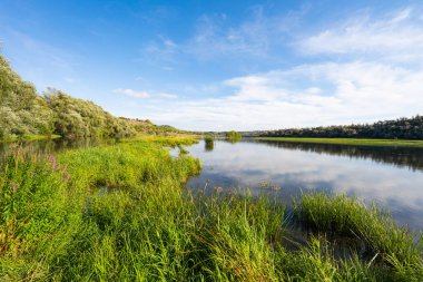Dinyester Nehri'nin sonbahar manzara