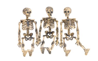 Beyaz arka plan üzerinde izole iskelet