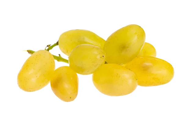 Uvas Aisladas Sobre Fondo Blanco — Foto de Stock